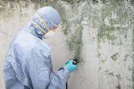 Mold Remediation for Vacation Homes in Mccullom Lake, IL